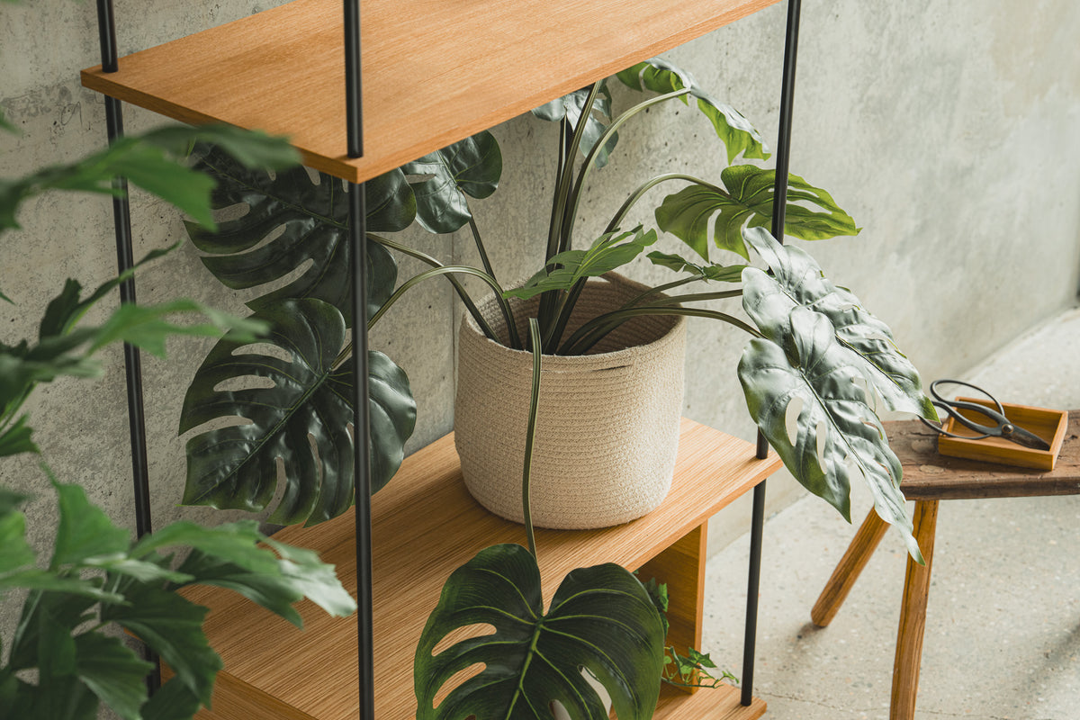 Solid Oak Bookshelf — Modular, Configurable in 3D